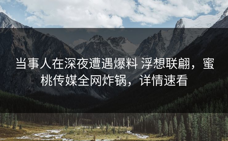 当事人在深夜遭遇爆料 浮想联翩，蜜桃传媒全网炸锅，详情速看