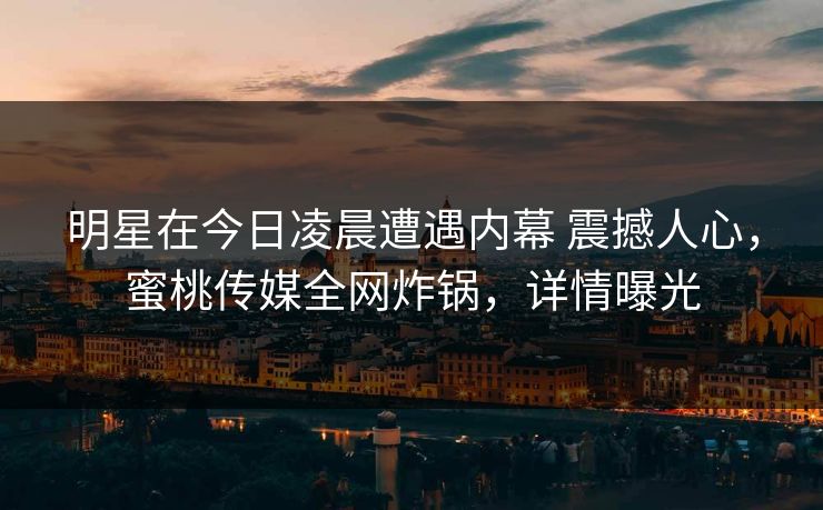 明星在今日凌晨遭遇内幕 震撼人心，蜜桃传媒全网炸锅，详情曝光