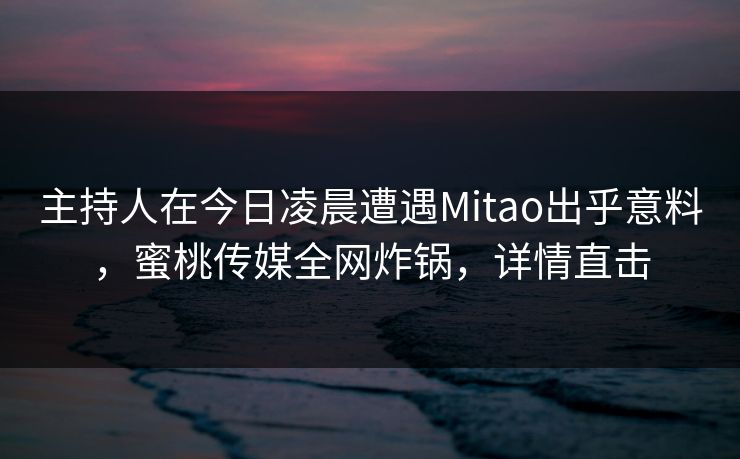 主持人在今日凌晨遭遇Mitao出乎意料，蜜桃传媒全网炸锅，详情直击