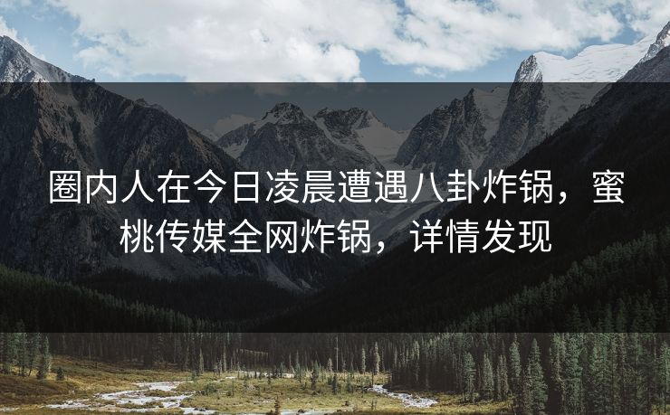 圈内人在今日凌晨遭遇八卦炸锅，蜜桃传媒全网炸锅，详情发现