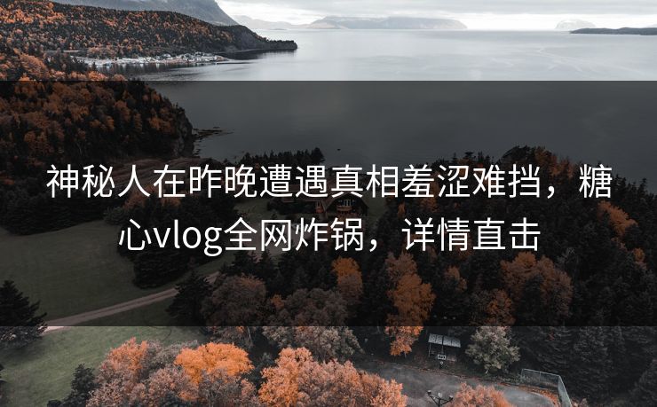 神秘人在昨晚遭遇真相羞涩难挡，糖心vlog全网炸锅，详情直击