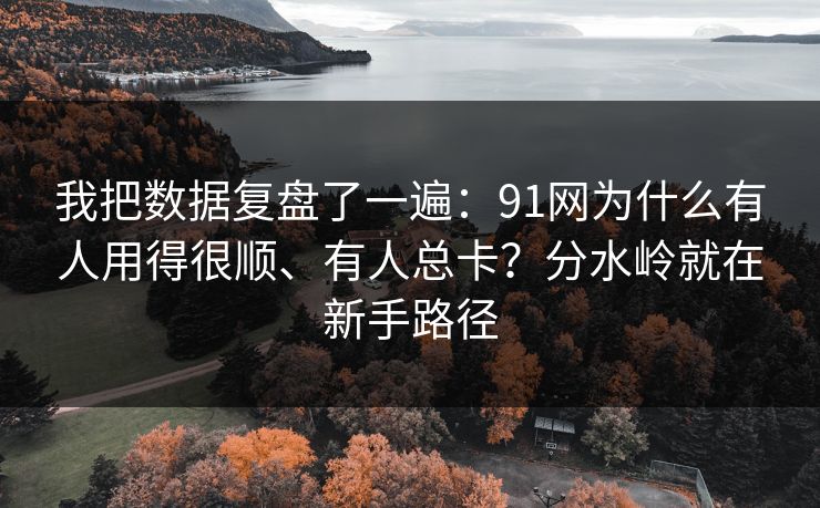 我把数据复盘了一遍：91网为什么有人用得很顺、有人总卡？分水岭就在新手路径
