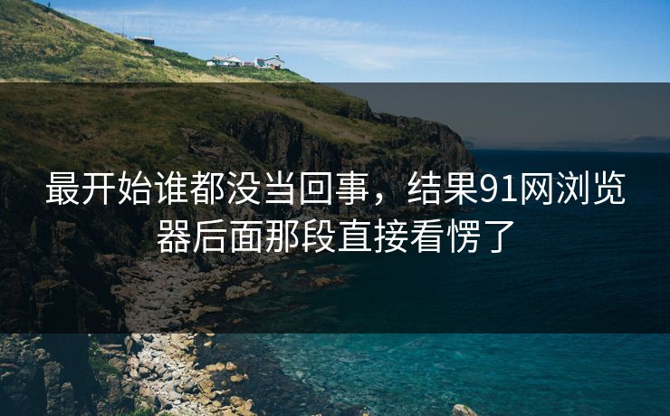 最开始谁都没当回事，结果91网浏览器后面那段直接看愣了